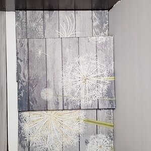 Dandilion Canvas Print